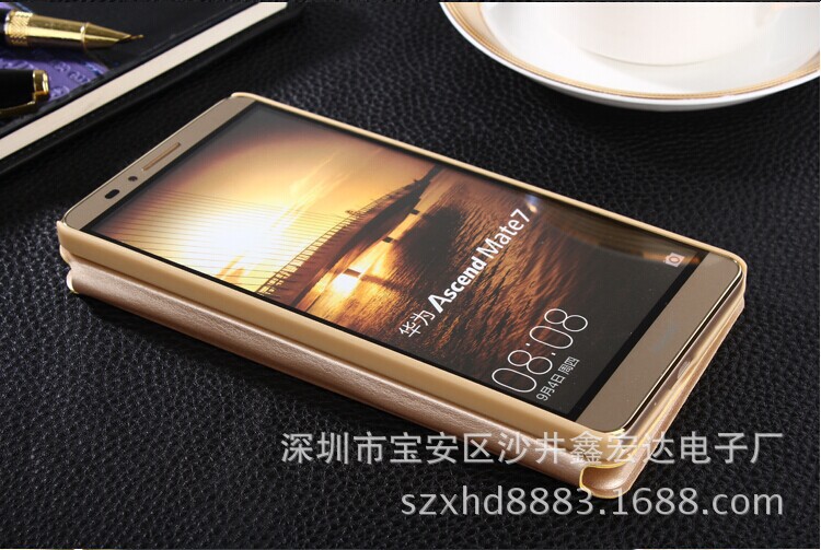 00018_1749398019_1264200791