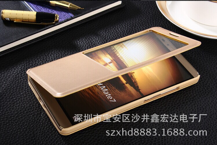 00010_1749398003_1264200791